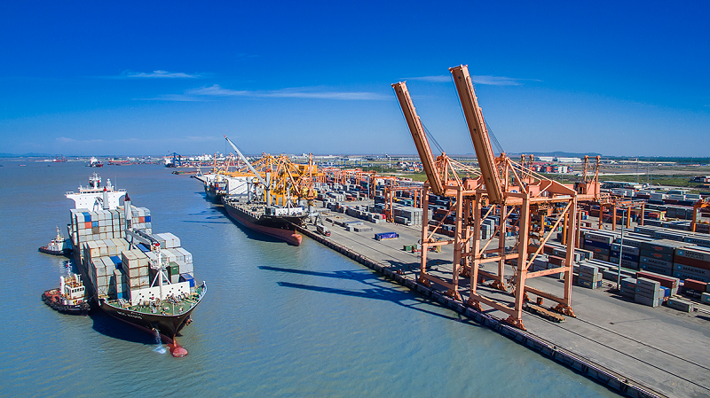 Vietnam's shipping industry still has significant growth milestones despite difficult pandemic conditions