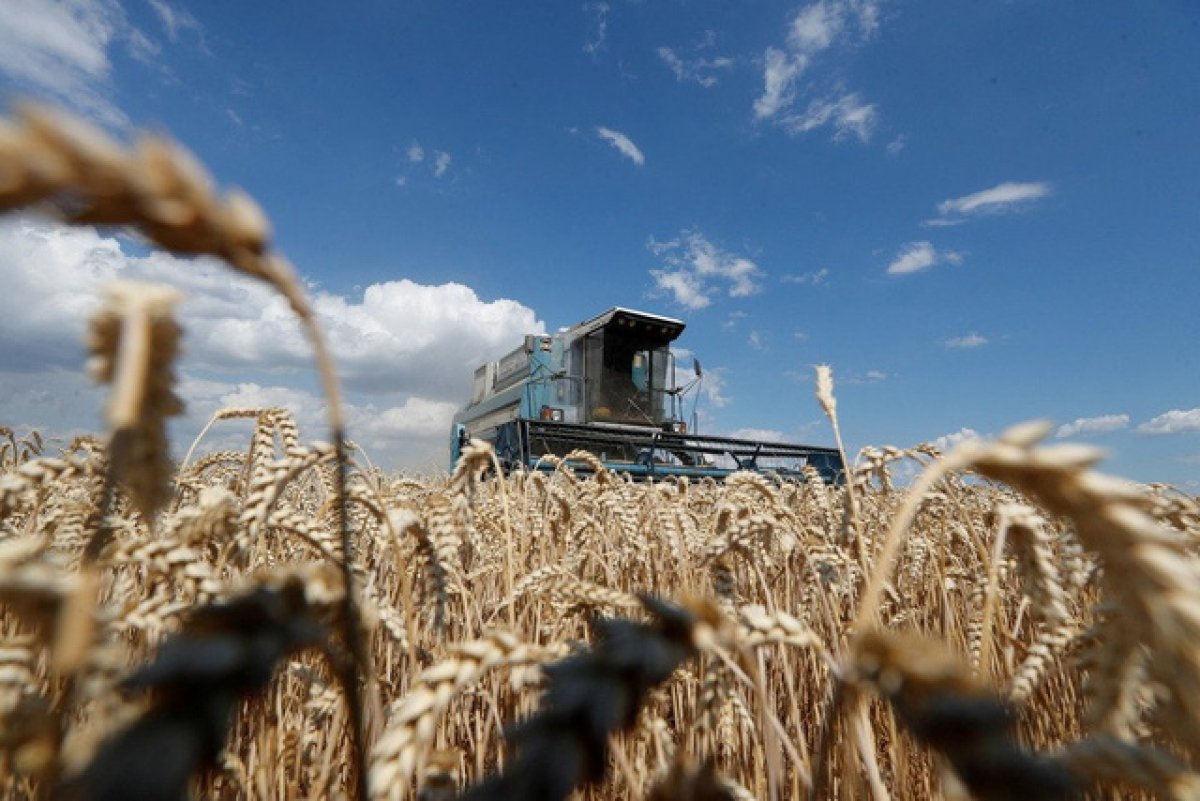 The Ukraine-Russia conflict is a major driver of worsening food insecurity